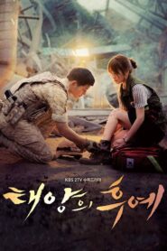 Descendants of the Sun: Season 1