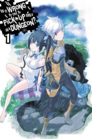 Is It Wrong to Try to Pick Up Girls in a Dungeon?: Season 1