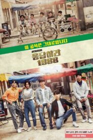 Reply 1988: Season 1